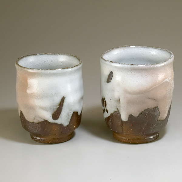 �q�ϕv�w���ہE�Q